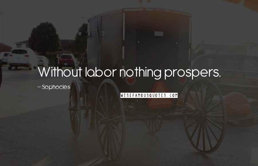Sophocles Quotes: Without labor nothing prospers.