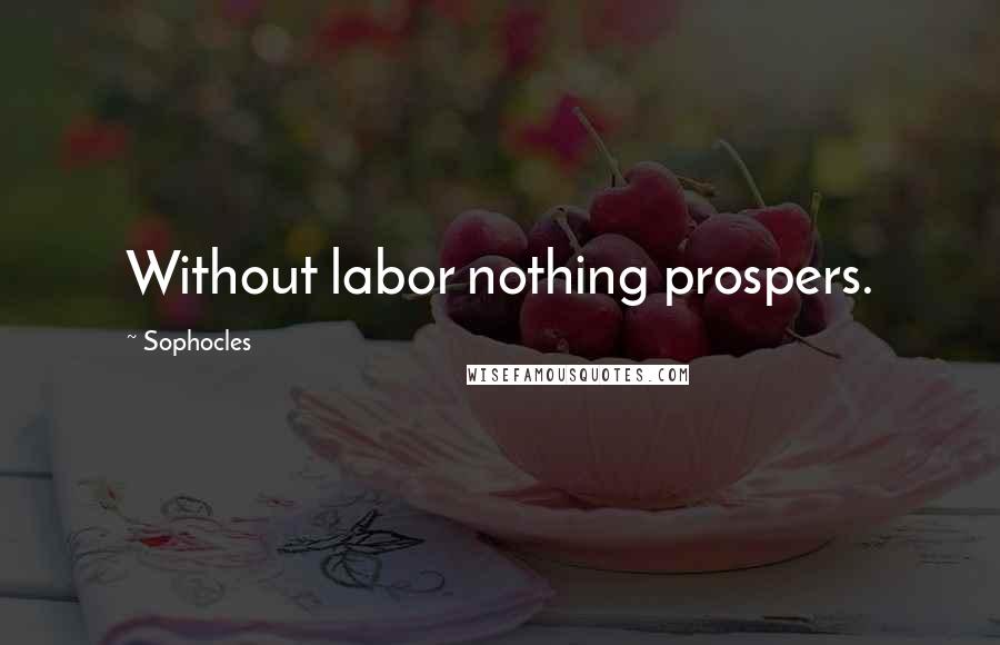 Sophocles Quotes: Without labor nothing prospers.