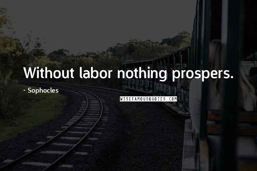 Sophocles Quotes: Without labor nothing prospers.