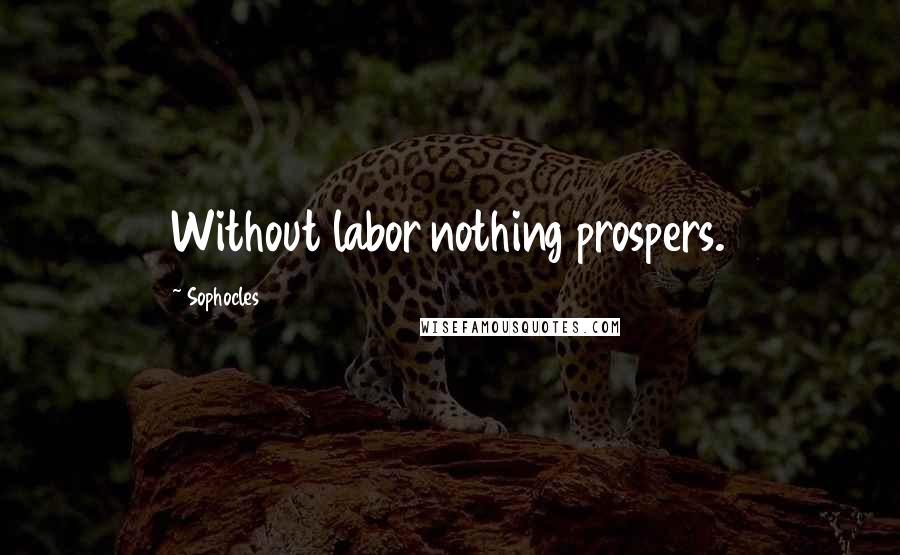 Sophocles Quotes: Without labor nothing prospers.