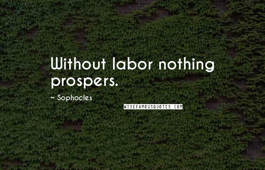 Sophocles Quotes: Without labor nothing prospers.