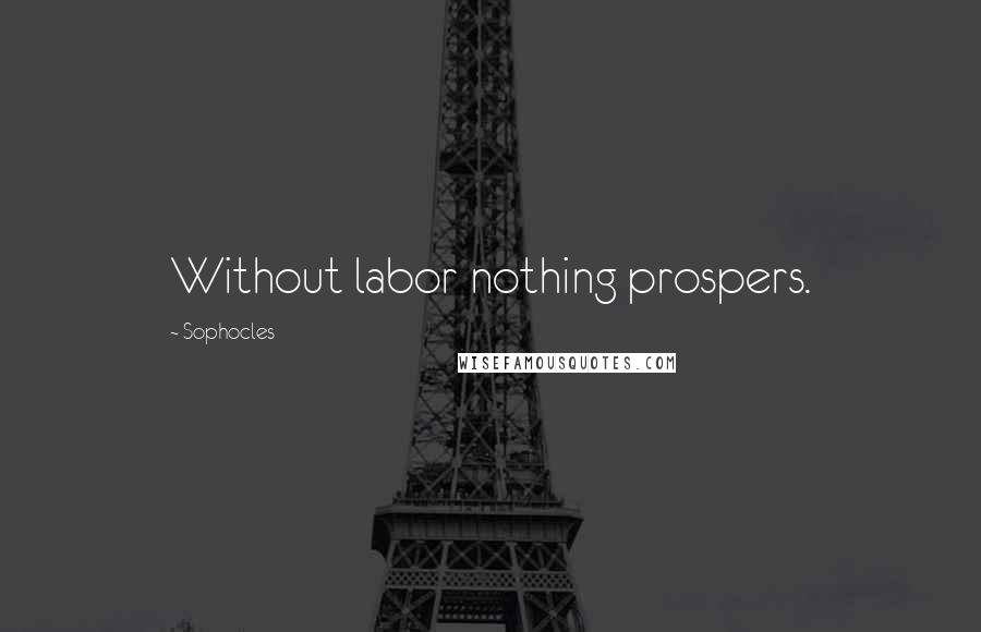Sophocles Quotes: Without labor nothing prospers.
