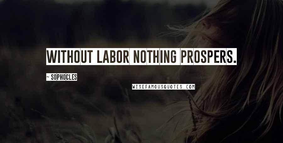 Sophocles Quotes: Without labor nothing prospers.