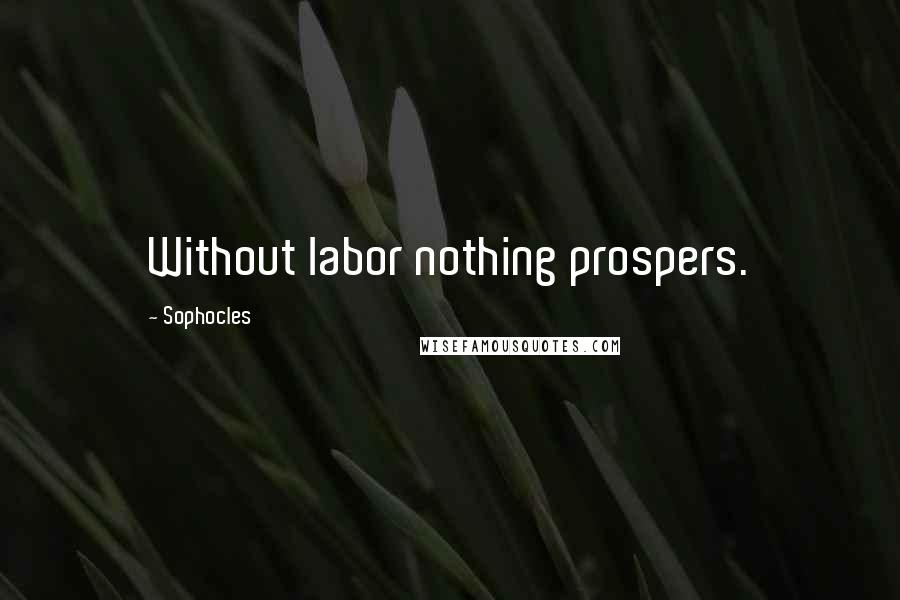 Sophocles Quotes: Without labor nothing prospers.