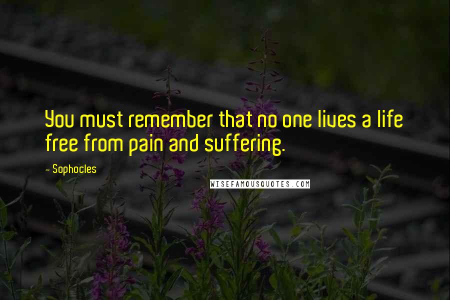 Sophocles Quotes: You must remember that no one lives a life free from pain and suffering.