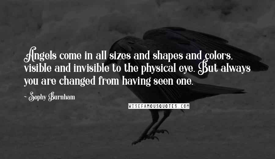Sophy Burnham Quotes: Angels come in all sizes and shapes and colors, visible and invisible to the physical eye. But always you are changed from having seen one.