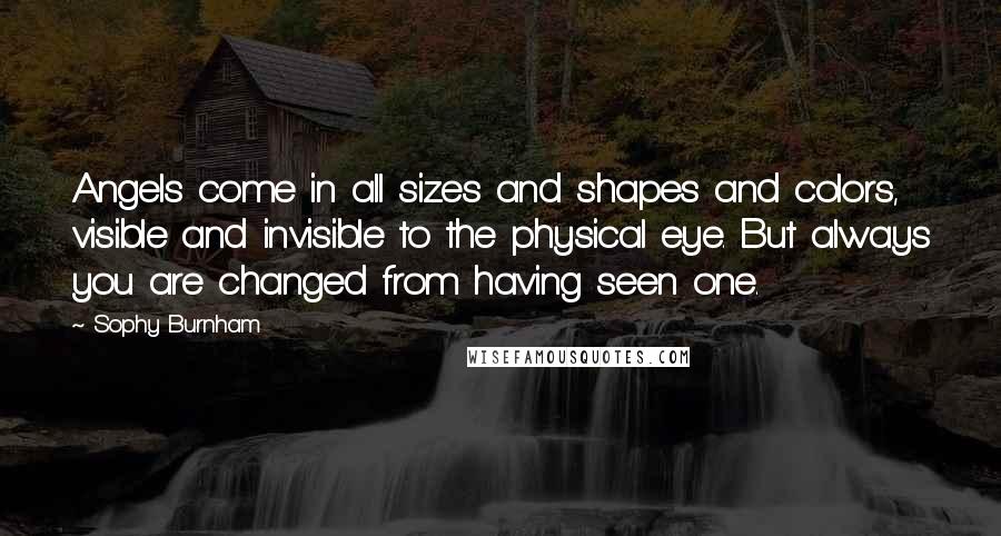 Sophy Burnham Quotes: Angels come in all sizes and shapes and colors, visible and invisible to the physical eye. But always you are changed from having seen one.