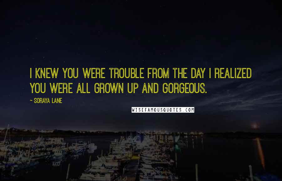 Soraya Lane Quotes: I knew you were trouble from the day I realized you were all grown up and gorgeous.