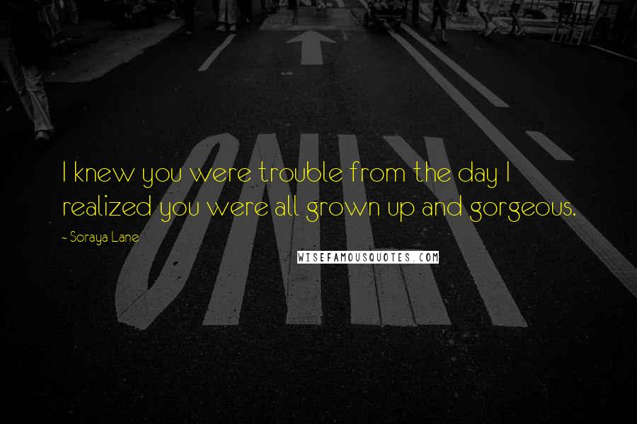 Soraya Lane Quotes: I knew you were trouble from the day I realized you were all grown up and gorgeous.