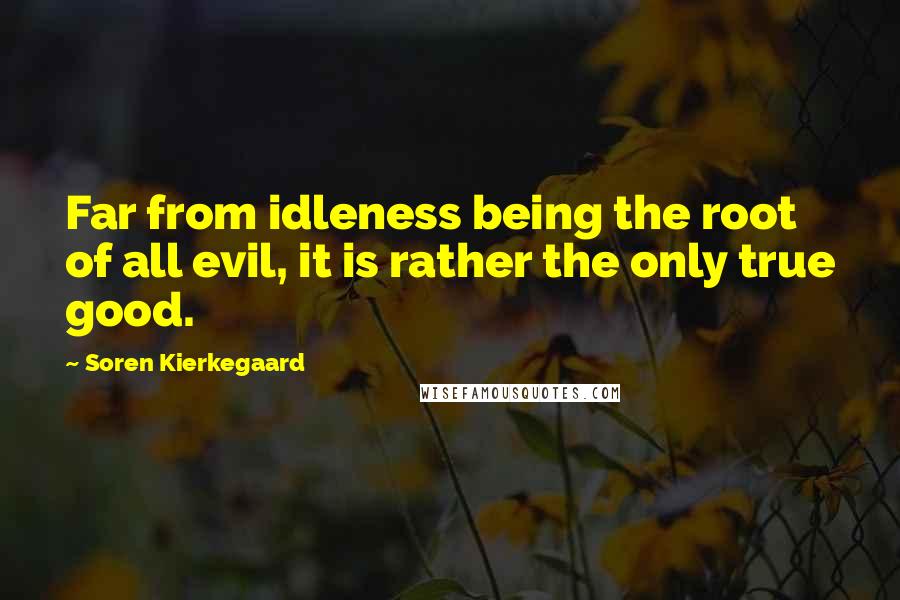 Soren Kierkegaard Quotes: Far from idleness being the root of all evil, it is rather the only true good.