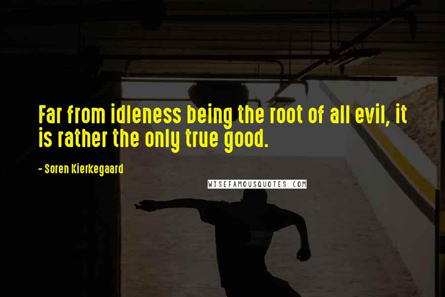 Soren Kierkegaard Quotes: Far from idleness being the root of all evil, it is rather the only true good.