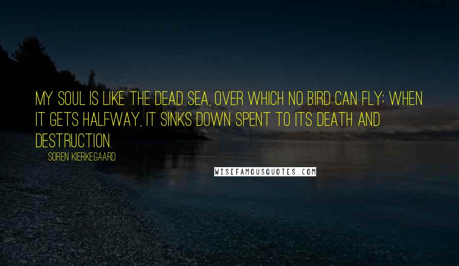 Soren Kierkegaard Quotes: My soul is like the dead sea, over which no bird can fly; when it gets halfway, it sinks down spent to its death and destruction.