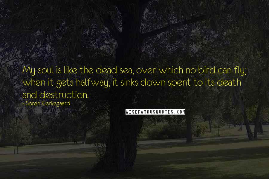 Soren Kierkegaard Quotes: My soul is like the dead sea, over which no bird can fly; when it gets halfway, it sinks down spent to its death and destruction.