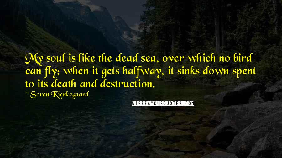 Soren Kierkegaard Quotes: My soul is like the dead sea, over which no bird can fly; when it gets halfway, it sinks down spent to its death and destruction.