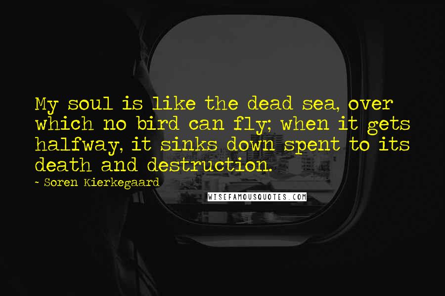 Soren Kierkegaard Quotes: My soul is like the dead sea, over which no bird can fly; when it gets halfway, it sinks down spent to its death and destruction.