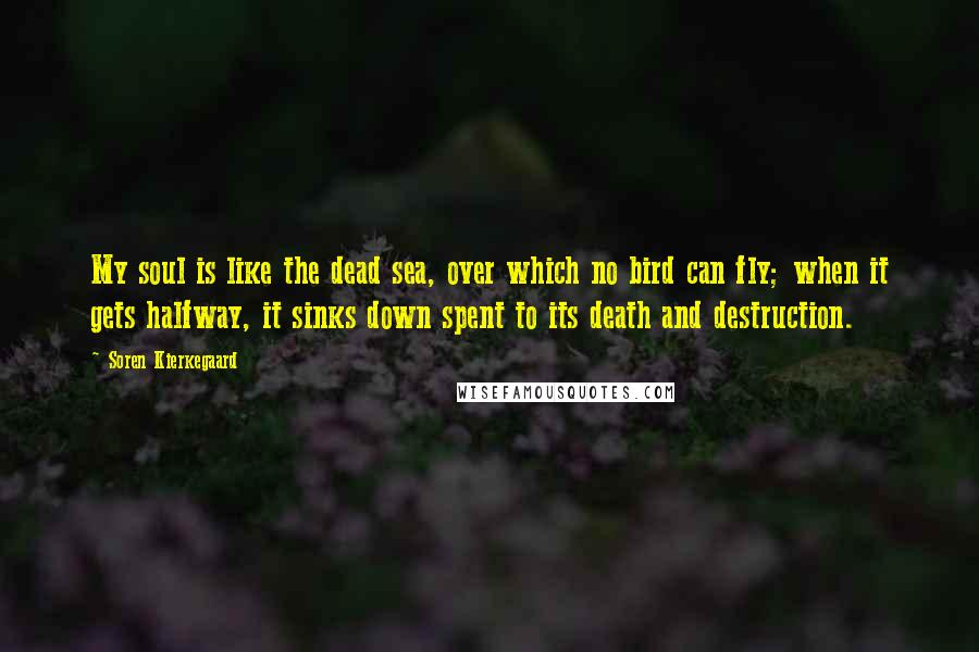 Soren Kierkegaard Quotes: My soul is like the dead sea, over which no bird can fly; when it gets halfway, it sinks down spent to its death and destruction.