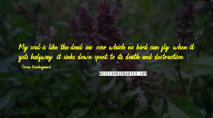 Soren Kierkegaard Quotes: My soul is like the dead sea, over which no bird can fly; when it gets halfway, it sinks down spent to its death and destruction.