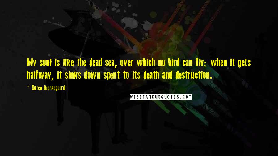 Soren Kierkegaard Quotes: My soul is like the dead sea, over which no bird can fly; when it gets halfway, it sinks down spent to its death and destruction.