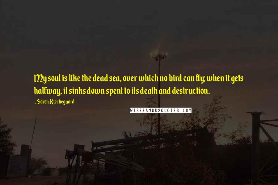 Soren Kierkegaard Quotes: My soul is like the dead sea, over which no bird can fly; when it gets halfway, it sinks down spent to its death and destruction.