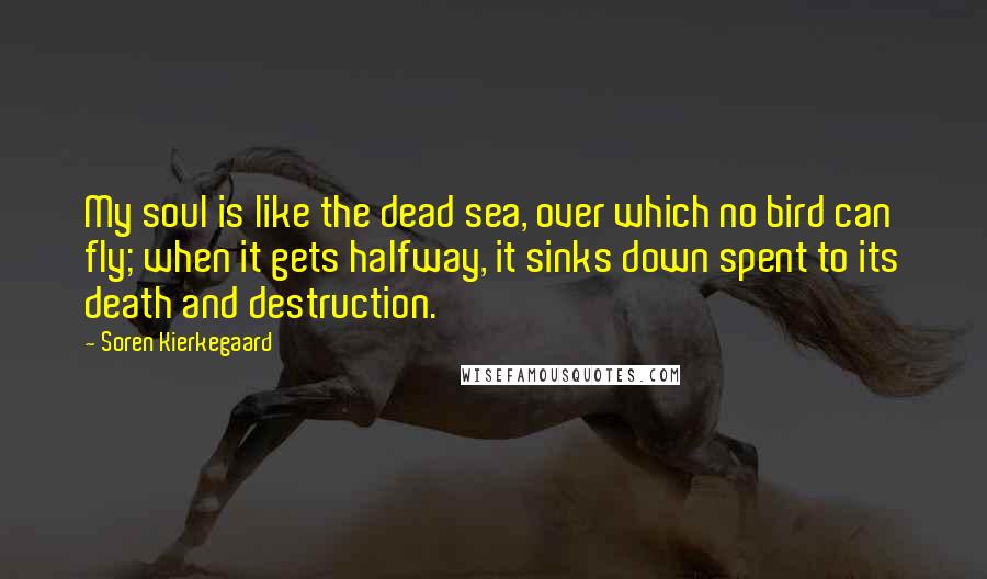 Soren Kierkegaard Quotes: My soul is like the dead sea, over which no bird can fly; when it gets halfway, it sinks down spent to its death and destruction.