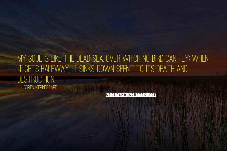 Soren Kierkegaard Quotes: My soul is like the dead sea, over which no bird can fly; when it gets halfway, it sinks down spent to its death and destruction.