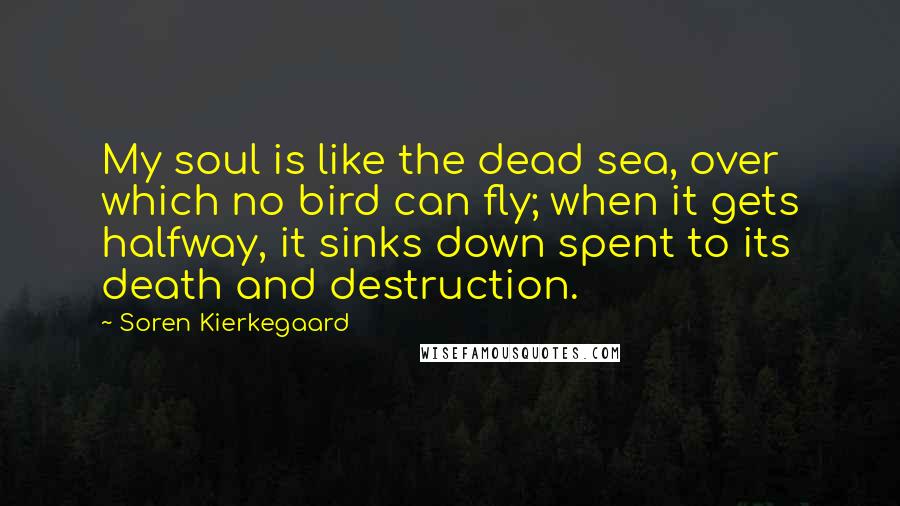 Soren Kierkegaard Quotes: My soul is like the dead sea, over which no bird can fly; when it gets halfway, it sinks down spent to its death and destruction.