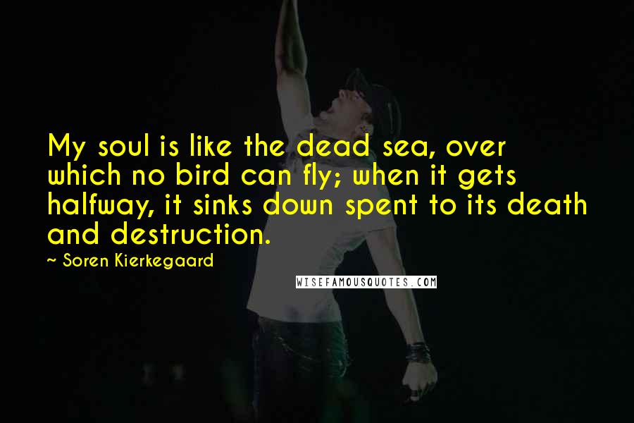 Soren Kierkegaard Quotes: My soul is like the dead sea, over which no bird can fly; when it gets halfway, it sinks down spent to its death and destruction.