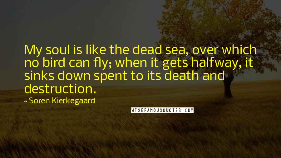 Soren Kierkegaard Quotes: My soul is like the dead sea, over which no bird can fly; when it gets halfway, it sinks down spent to its death and destruction.