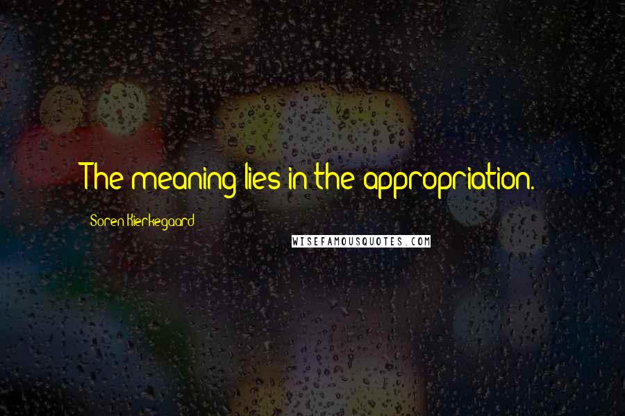Soren Kierkegaard Quotes: The meaning lies in the appropriation.