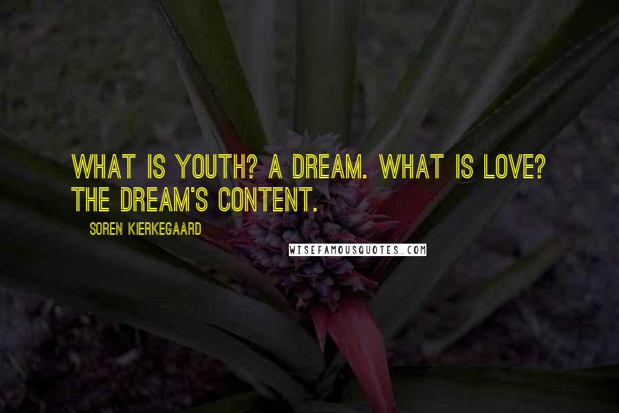 Soren Kierkegaard Quotes: What is youth? A dream. What is love? The dream's content.