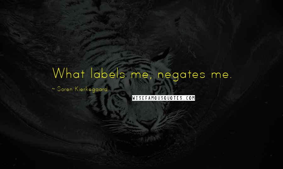 Soren Kierkegaard Quotes: What labels me, negates me.