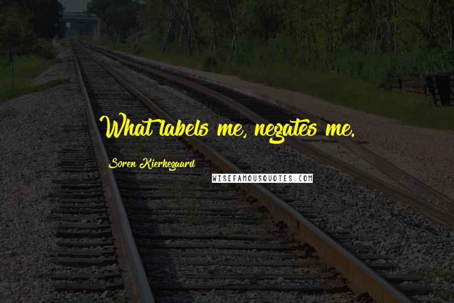 Soren Kierkegaard Quotes: What labels me, negates me.