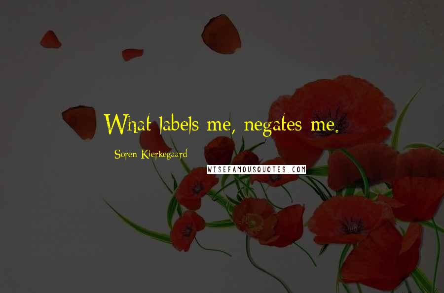 Soren Kierkegaard Quotes: What labels me, negates me.