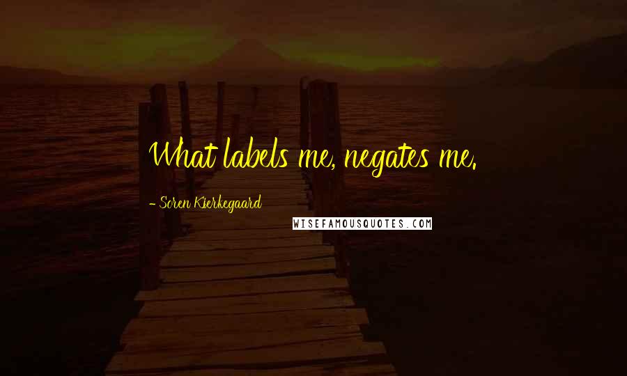 Soren Kierkegaard Quotes: What labels me, negates me.