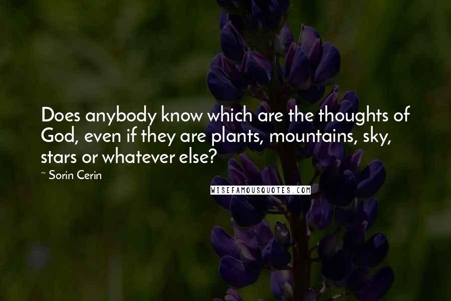 Sorin Cerin Quotes: Does anybody know which are the thoughts of God, even if they are plants, mountains, sky, stars or whatever else?