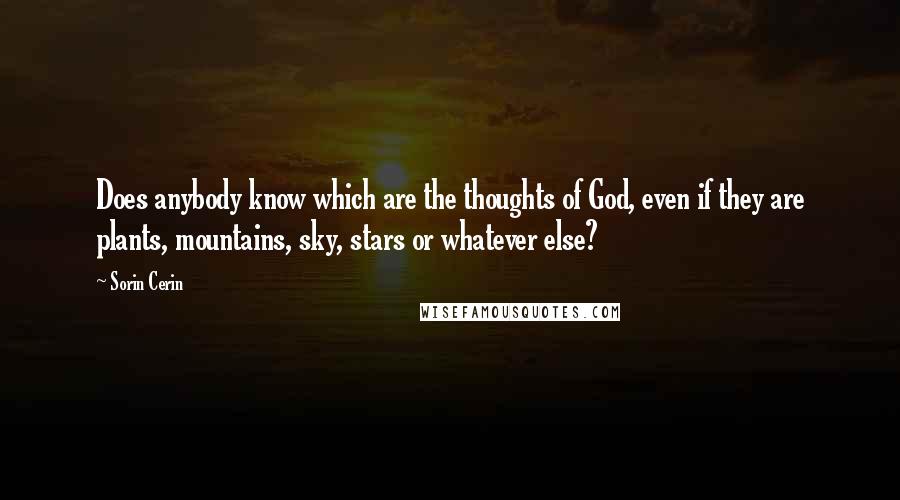 Sorin Cerin Quotes: Does anybody know which are the thoughts of God, even if they are plants, mountains, sky, stars or whatever else?