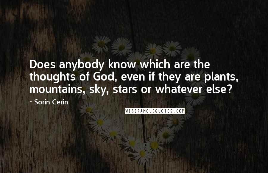 Sorin Cerin Quotes: Does anybody know which are the thoughts of God, even if they are plants, mountains, sky, stars or whatever else?