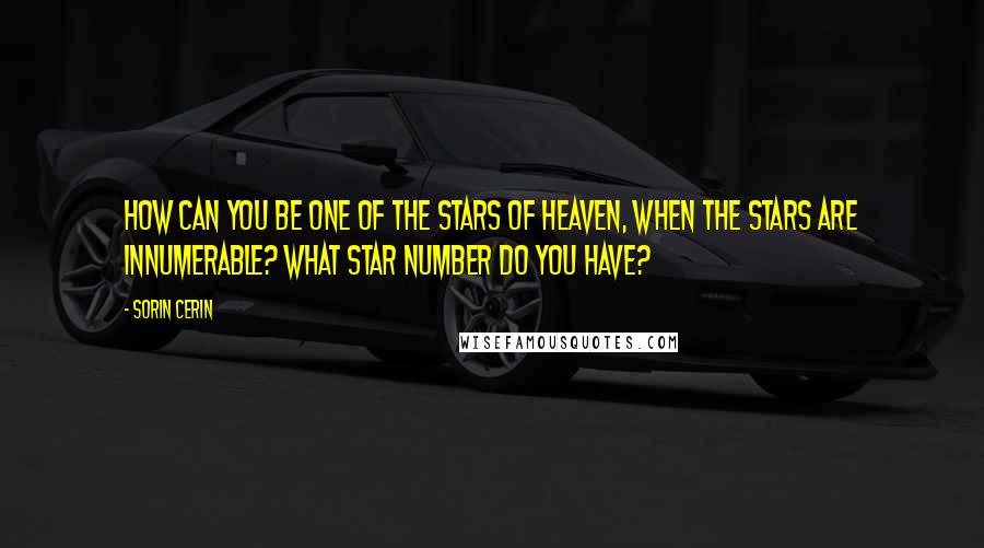 Sorin Cerin Quotes: How can you be one of the stars of heaven, when the stars are innumerable? What star number do you have?