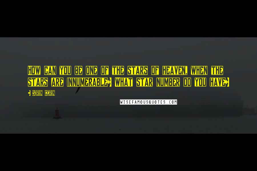 Sorin Cerin Quotes: How can you be one of the stars of heaven, when the stars are innumerable? What star number do you have?