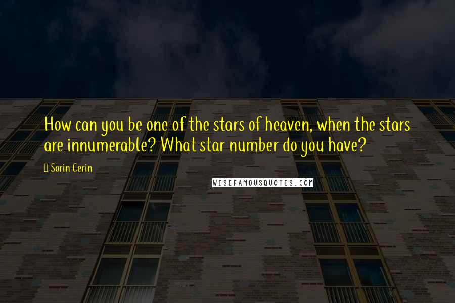 Sorin Cerin Quotes: How can you be one of the stars of heaven, when the stars are innumerable? What star number do you have?