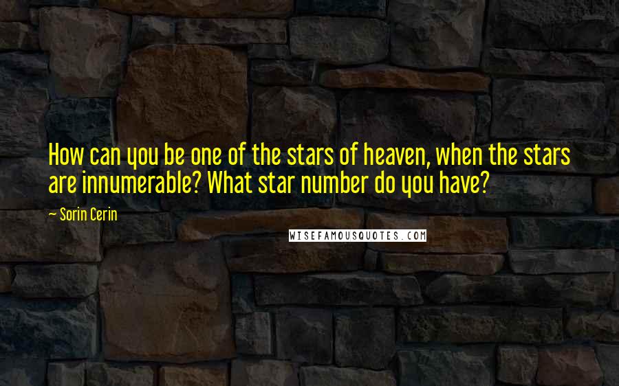 Sorin Cerin Quotes: How can you be one of the stars of heaven, when the stars are innumerable? What star number do you have?