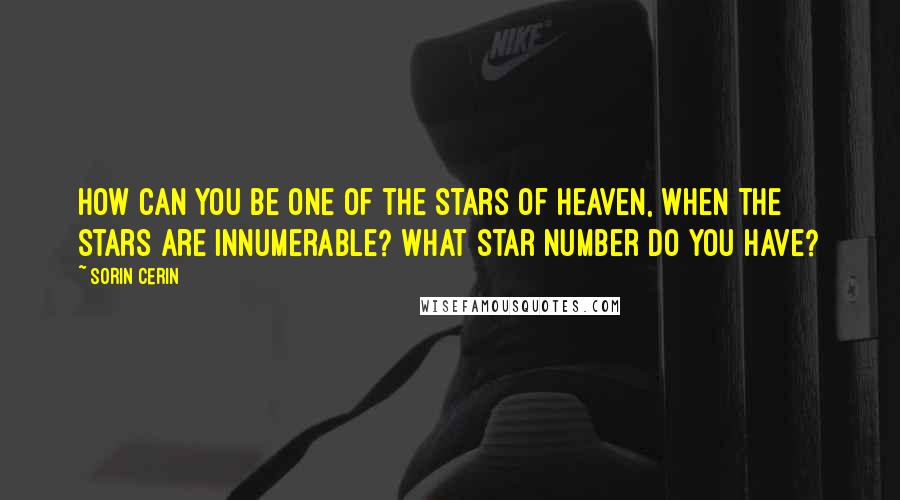 Sorin Cerin Quotes: How can you be one of the stars of heaven, when the stars are innumerable? What star number do you have?