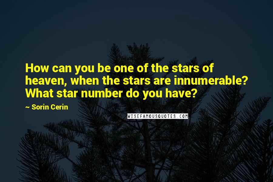 Sorin Cerin Quotes: How can you be one of the stars of heaven, when the stars are innumerable? What star number do you have?