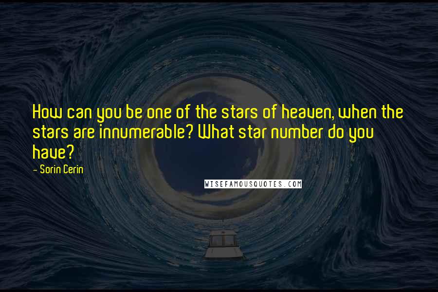 Sorin Cerin Quotes: How can you be one of the stars of heaven, when the stars are innumerable? What star number do you have?