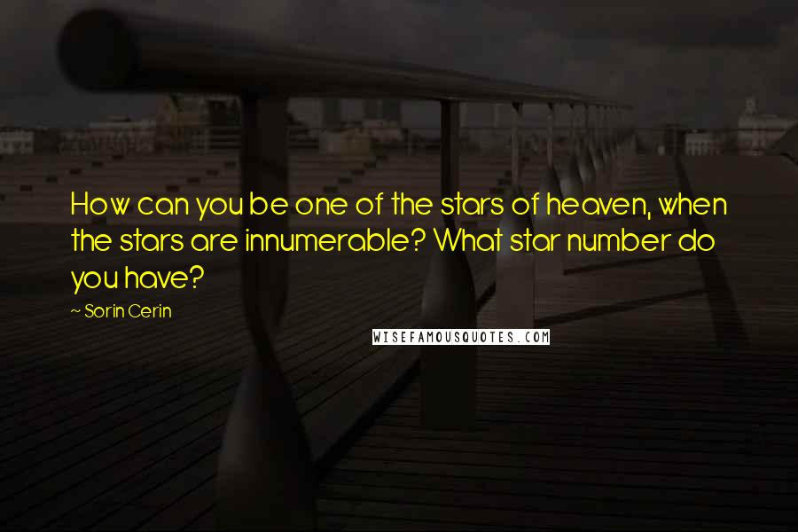 Sorin Cerin Quotes: How can you be one of the stars of heaven, when the stars are innumerable? What star number do you have?