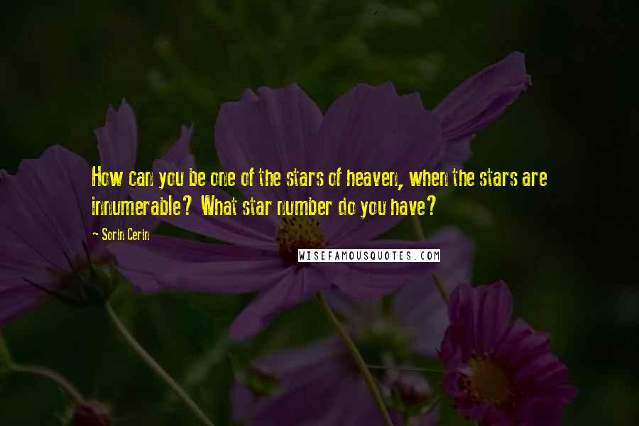 Sorin Cerin Quotes: How can you be one of the stars of heaven, when the stars are innumerable? What star number do you have?