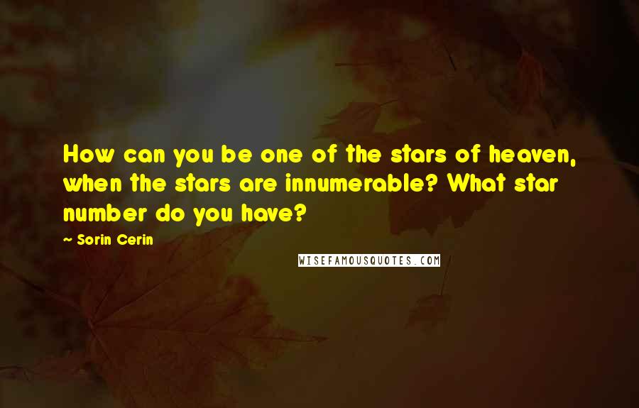 Sorin Cerin Quotes: How can you be one of the stars of heaven, when the stars are innumerable? What star number do you have?