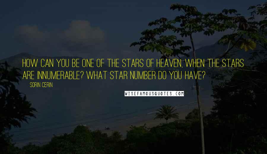 Sorin Cerin Quotes: How can you be one of the stars of heaven, when the stars are innumerable? What star number do you have?