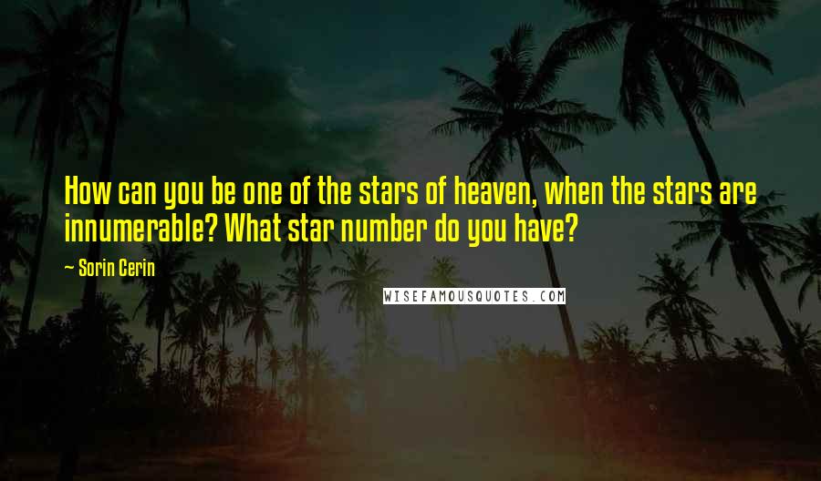 Sorin Cerin Quotes: How can you be one of the stars of heaven, when the stars are innumerable? What star number do you have?