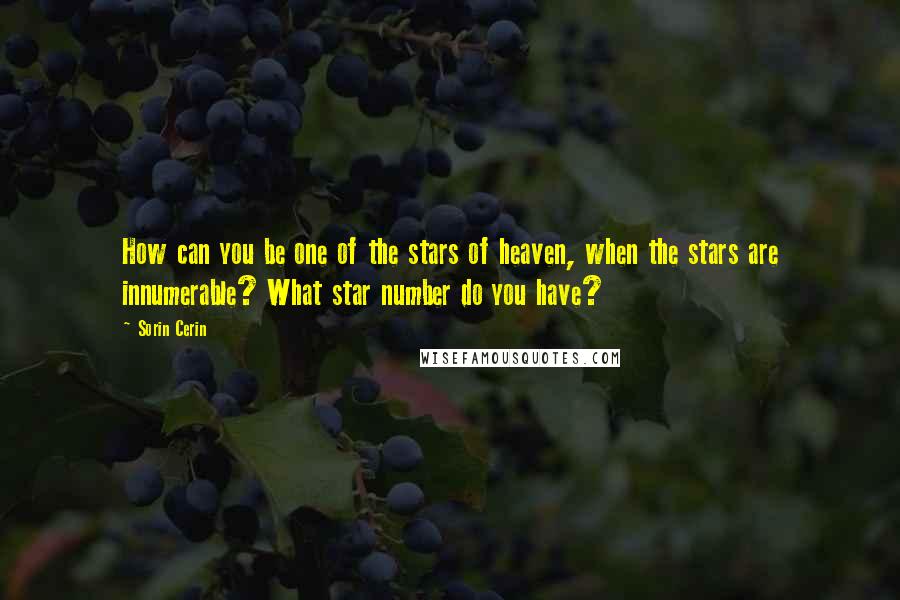 Sorin Cerin Quotes: How can you be one of the stars of heaven, when the stars are innumerable? What star number do you have?